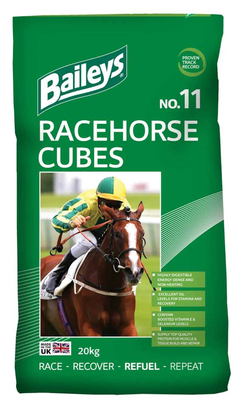Baileys No 11 Racehorse Cubes